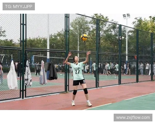 排球盛宴：深入杭州排球队的训练与荣耀之路