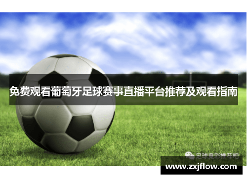 免费观看葡萄牙足球赛事直播平台推荐及观看指南